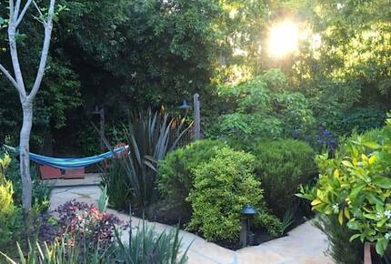 Downtown Napa Valley Hidden Gem - Napa, California