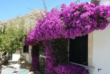 Picturesque Spanish finca "Las Rosas" - Port de Pollenca, Spain