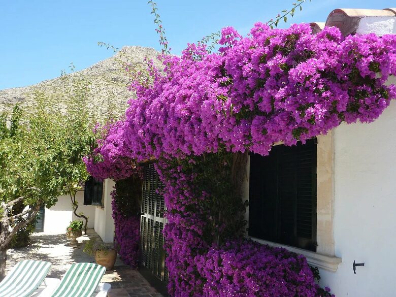 Picturesque Spanish finca "Las Rosas" - Port de Pollenca, Spain