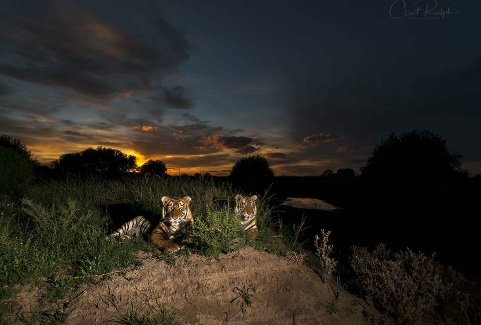 Tiger Canyon Private Game Reserve - Philippolis, South Africa