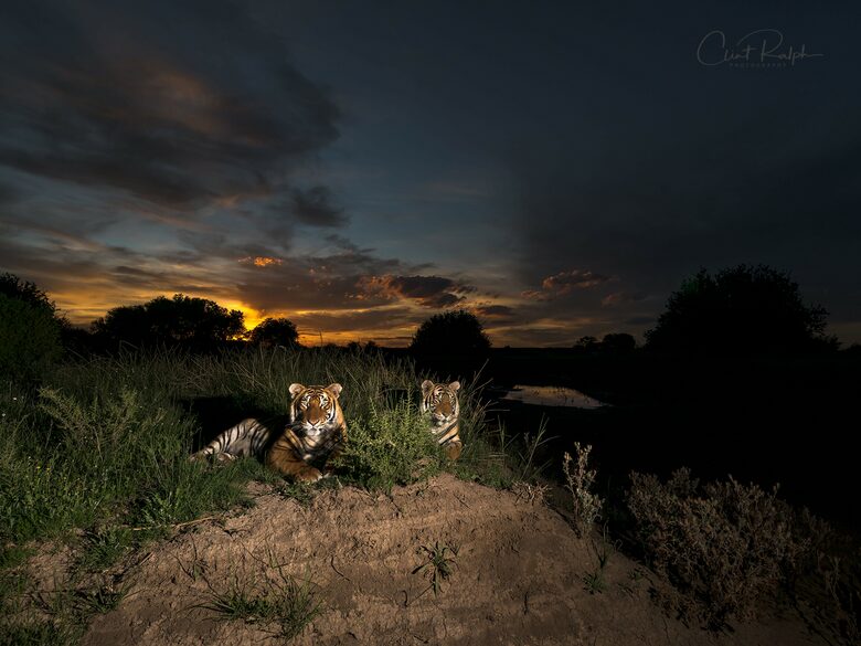 Tiger Canyon Private Game Reserve - Philippolis, South Africa