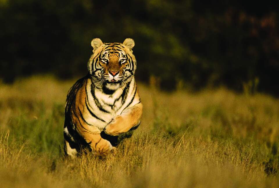 Tiger Canyon Private Game Reserve - Philippolis, South Africa