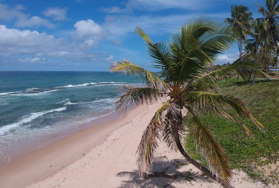 Heaven on the Beach - Mata de São João, Brazil