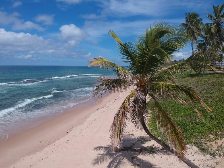 Heaven on the Beach - Mata de São João, Brazil