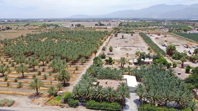 DateFarm 54 - Thermal, California