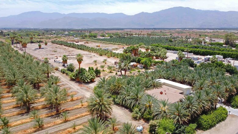 DateFarm 54 - Thermal, California