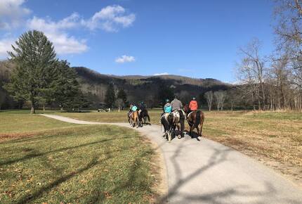 Greenbrier - Luxury Private Home - On Resort grounds - White Sulphur Springs, West Virginia