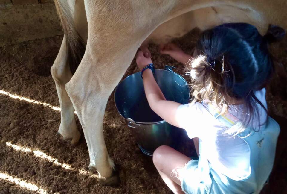 Olepangi House: Set in the Foothills of Mt Kenya - all inclusive - Timau, Kenya