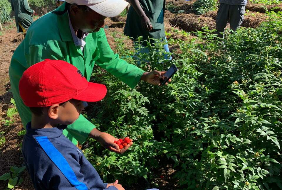 Olepangi House: Set in the Foothills of Mt Kenya - all inclusive - Timau, Kenya