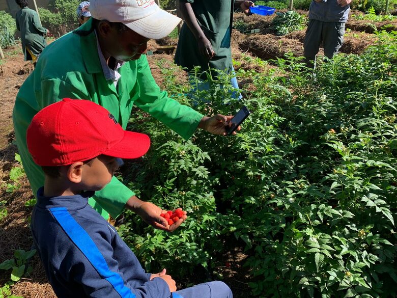 Olepangi House: Set in the Foothills of Mt Kenya - all inclusive - Timau, Kenya