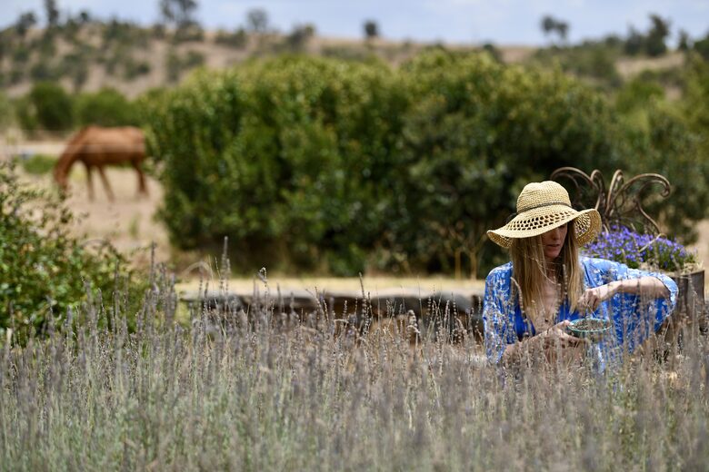 Olepangi House: Set in the Foothills of Mt Kenya - all inclusive - Timau, Kenya