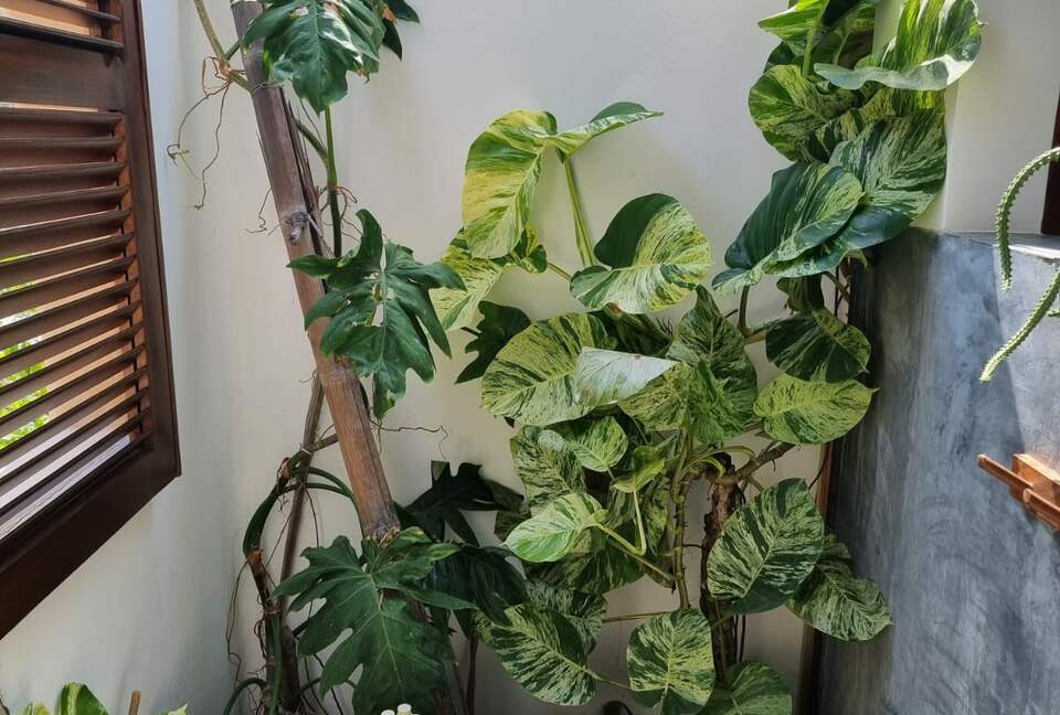 Casa Cauri - El Puertecito, Mexico