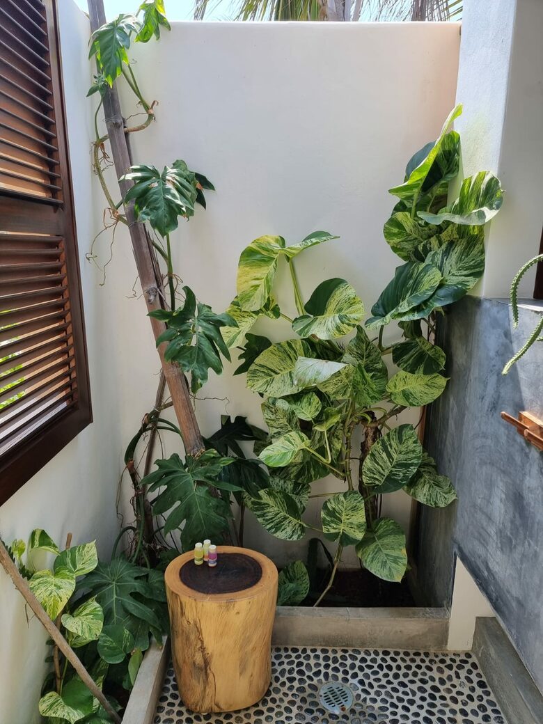 Casa Cauri - El Puertecito, Mexico