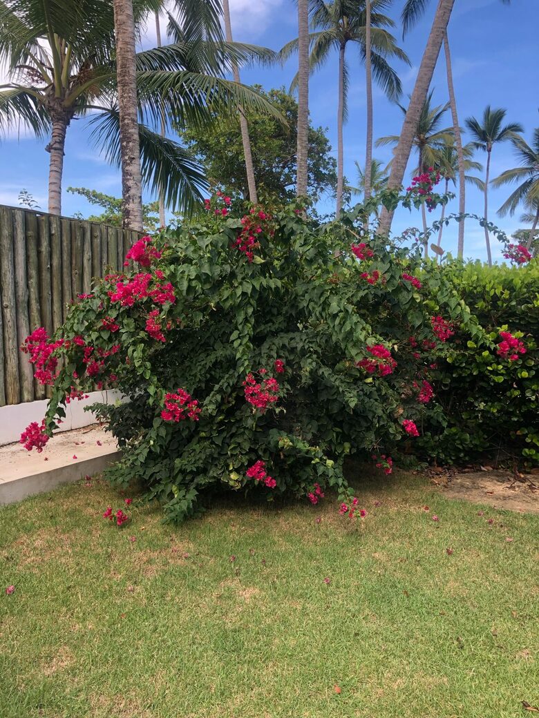 Beachfront House Saramar in Portillo - Portillo, Dominican Republic