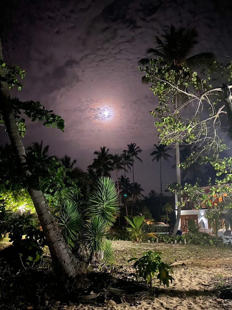 Beachfront House Saramar in Portillo - Portillo, Dominican Republic