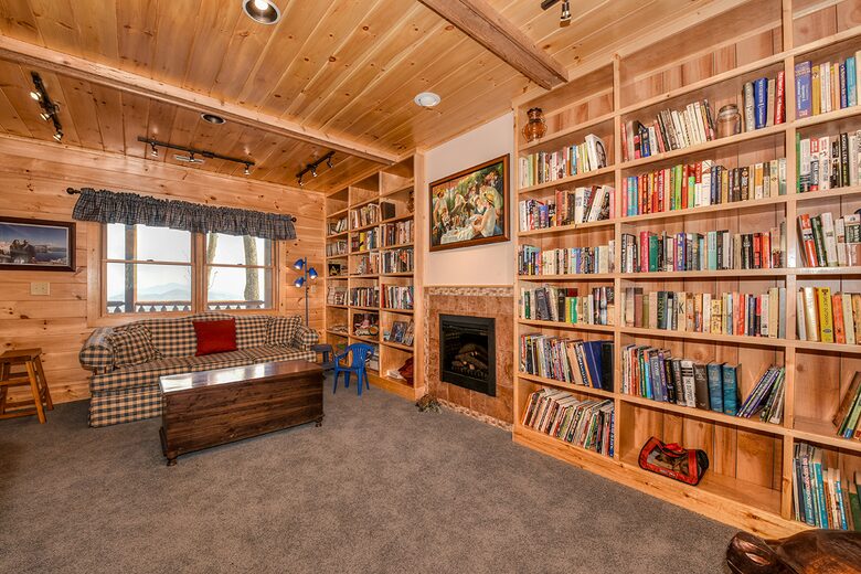 Library with Pull Out Sofa