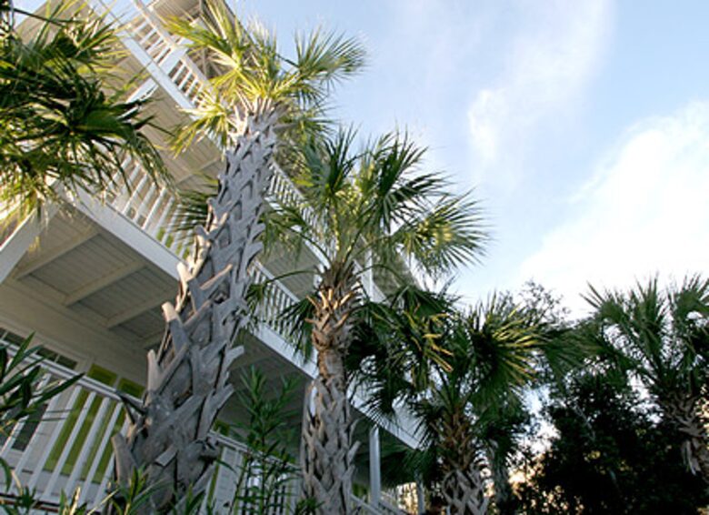 Picturesque Calypso Windsong -30A - Santa Rosa Beach, Florida