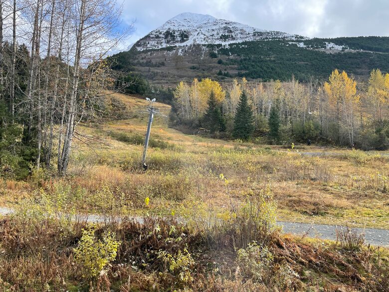 El Skondo Slope-Side Residence — Ski-in/Ski-out! - Girdwood, Alaska