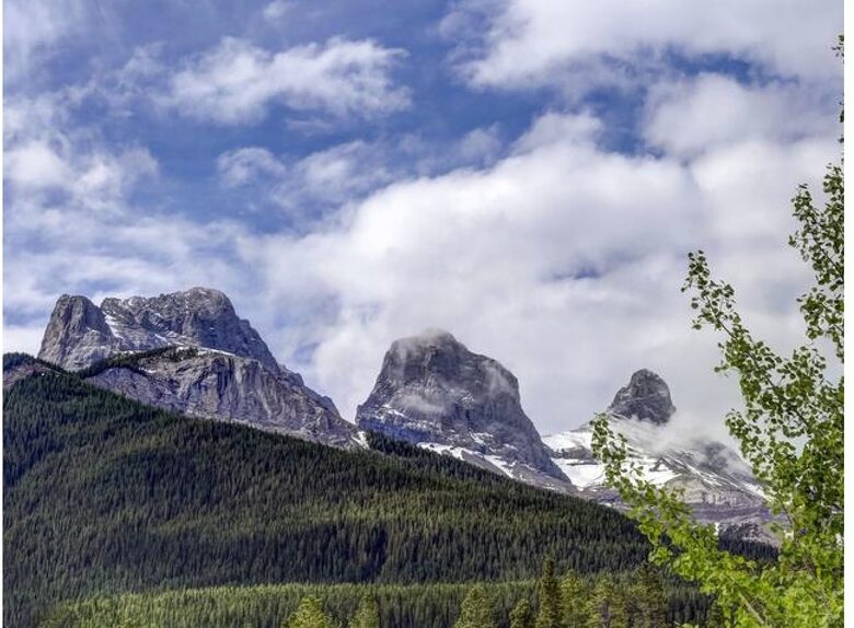 Rocky Mountain Gem - perfect for families! - Canmore, Canada