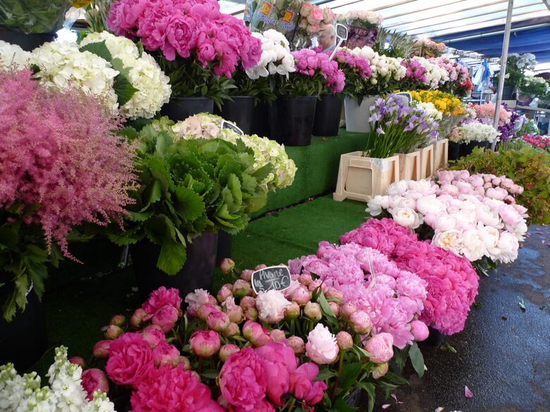 Saxe-Breteuil, Paris 7th - Paris, France