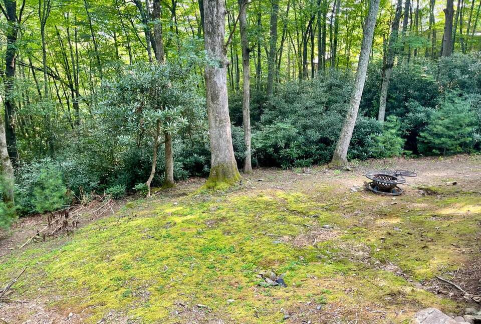 Whispering Falls Cottage — Bear Lake - Tuckasegee, North Carolina