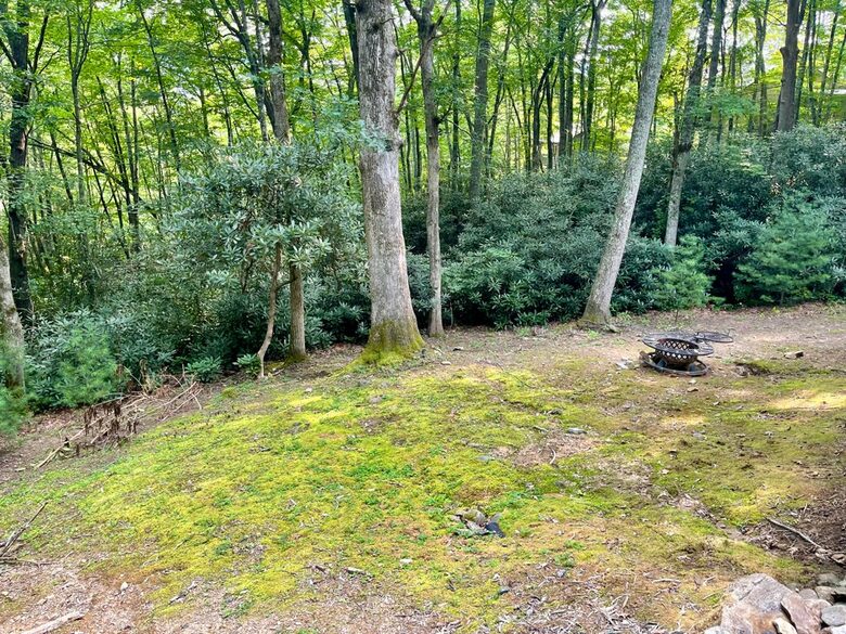 Whispering Falls Cottage — Bear Lake - Tuckasegee, North Carolina