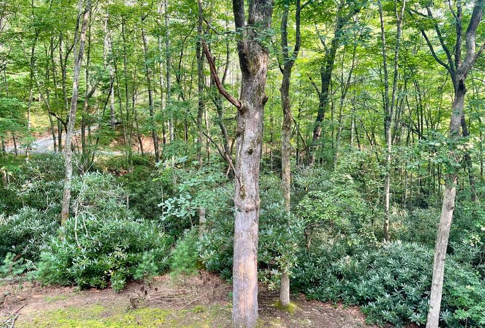 Whispering Falls Cottage — Bear Lake - Tuckasegee, North Carolina