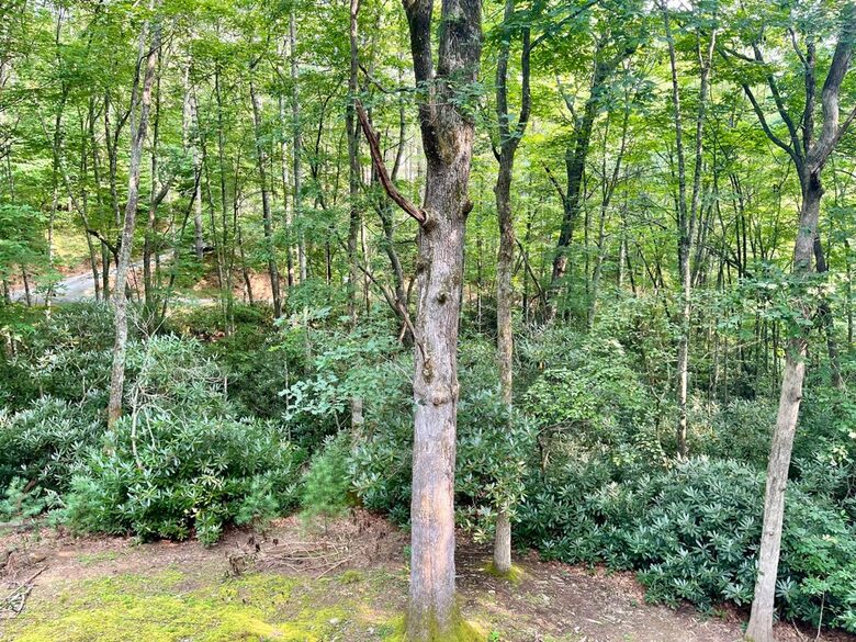 Whispering Falls Cottage — Bear Lake - Tuckasegee, North Carolina