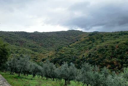 Stunning Countryside Villa Lignanello - Greve in Chianti, Italy
