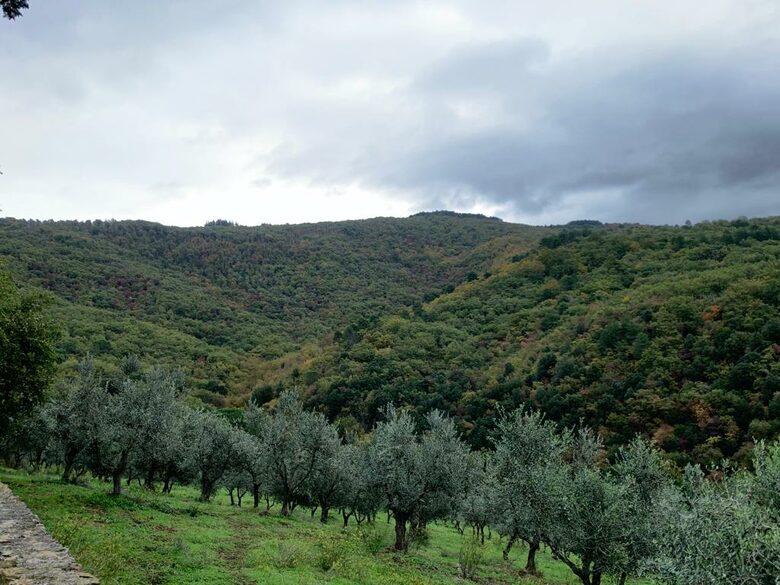 Stunning Countryside Villa Lignanello - Greve in Chianti, Italy