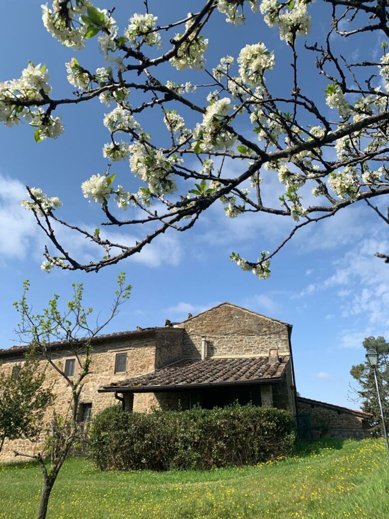 Stunning Countryside Villa Lignanello - Greve in Chianti, Italy