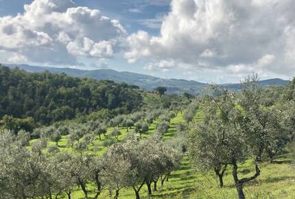 Stunning Countryside Villa Lignanello - Greve in Chianti, Italy