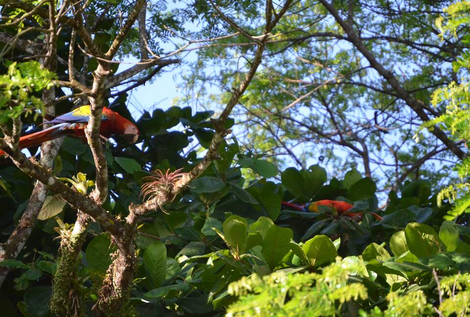 Villa Sitio de Ensueño - Tárcoles, Costa Rica