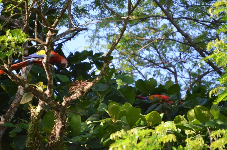 Villa Sitio de Ensueño - Tárcoles, Costa Rica