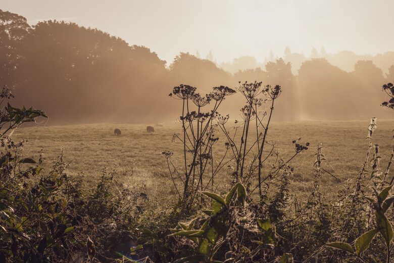 Sapperton Manor Farm - Cirencester, United Kingdom