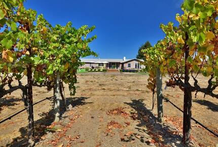 Napa Valley Wine Country Retreat with Pickleball Court - Napa, California