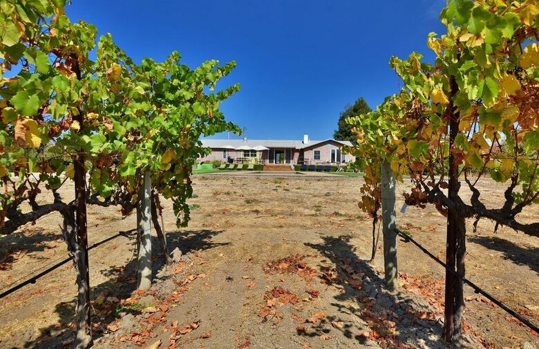 Napa Valley Wine Country Retreat with Pickleball Court - Napa, California