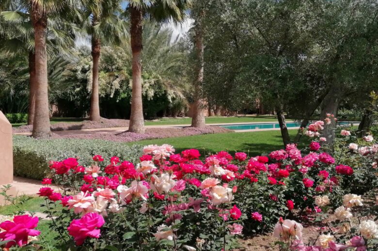 Villa Kyanite - Marrakech, Morocco