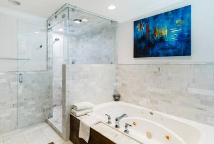 Chicago's Best Penthouse - Chicago, Illinois