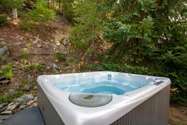 Modern Whistler Chalet - walk to everything! - Whistler, Canada