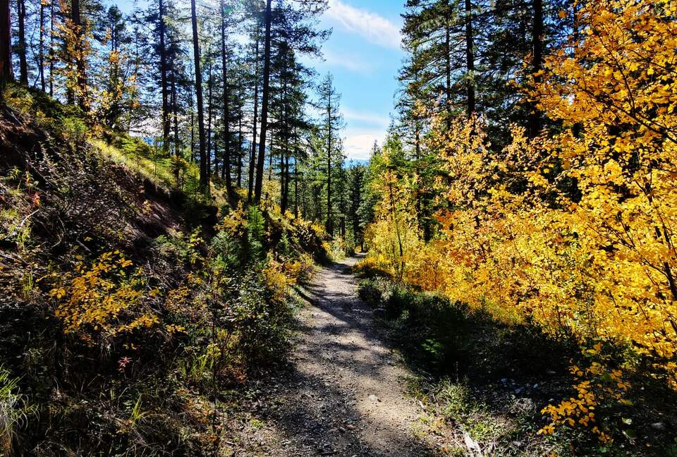 Luxury Log Cabin in the Mountains of British Columbia - Kimberley, Canada