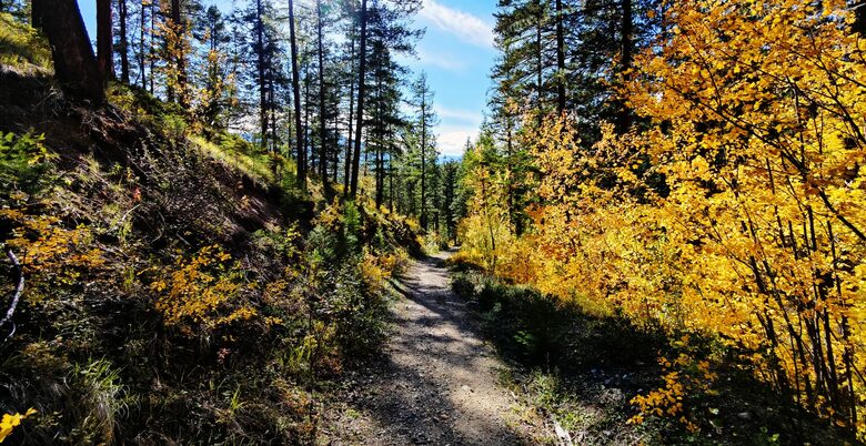 Luxury Log Cabin in the Mountains of British Columbia - Kimberley, Canada