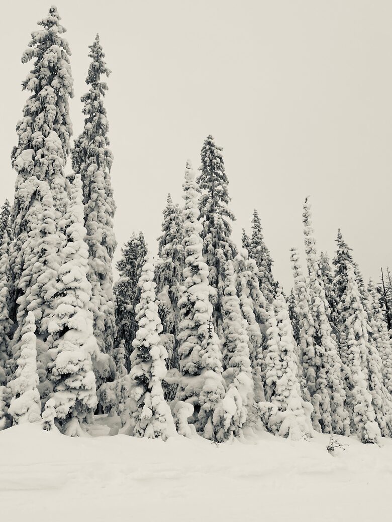 Luxury Log Cabin in the Mountains of British Columbia - Kimberley, Canada