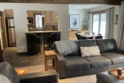 Timber Fox - Vail, Colorado