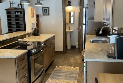 Timber Fox - Vail, Colorado