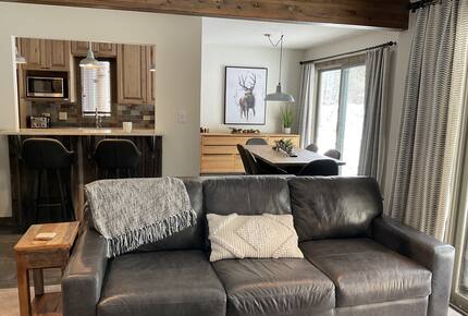 Timber Fox - Vail, Colorado