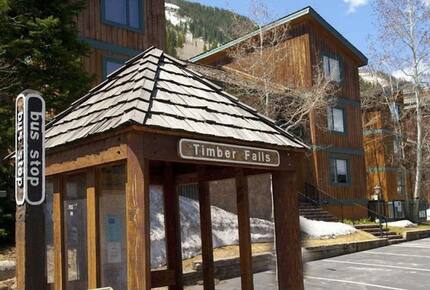 Timber Fox - Vail, Colorado