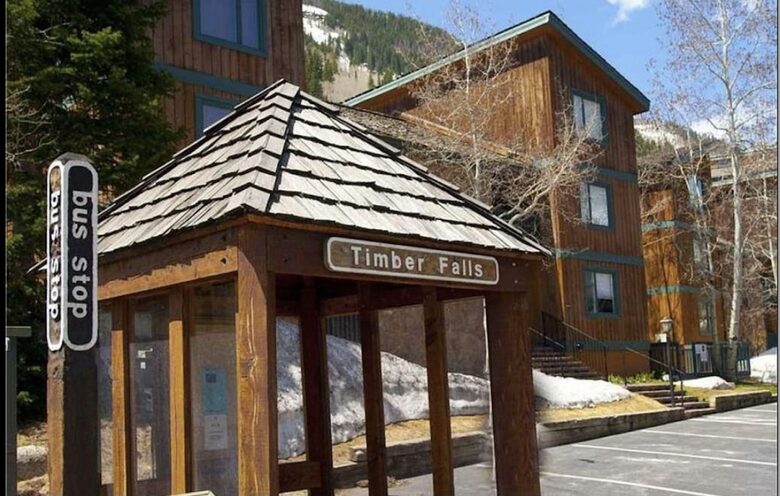 Timber Fox - Vail, Colorado