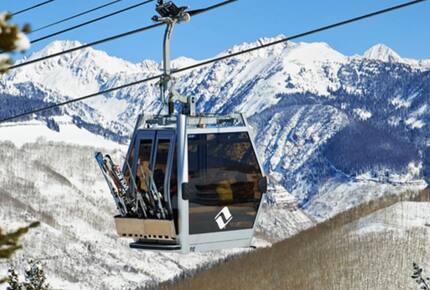 Timber Fox - Vail, Colorado