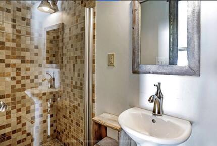 Timber Fox - Vail, Colorado